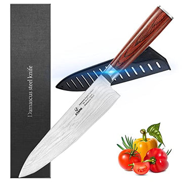 Professional Kitchen 8 inch Chef Knife - 67 Layers VG-10 Damascus Steel Knife,Ultra-Sharp Cooking Knife with Ergonomic Wood Handle, Sheath & Beauty Gift Box